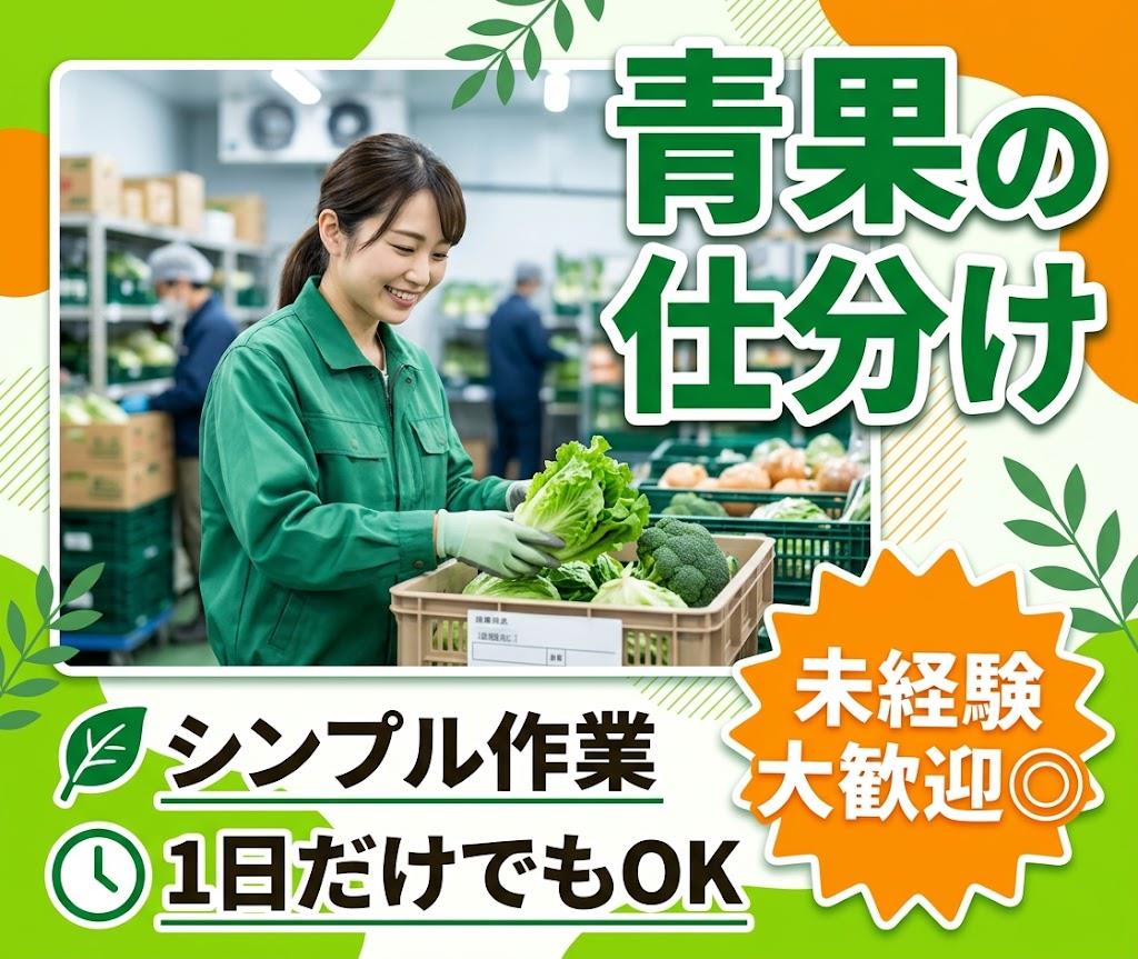 バイト先の写真