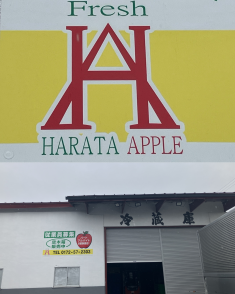 バイト先の写真