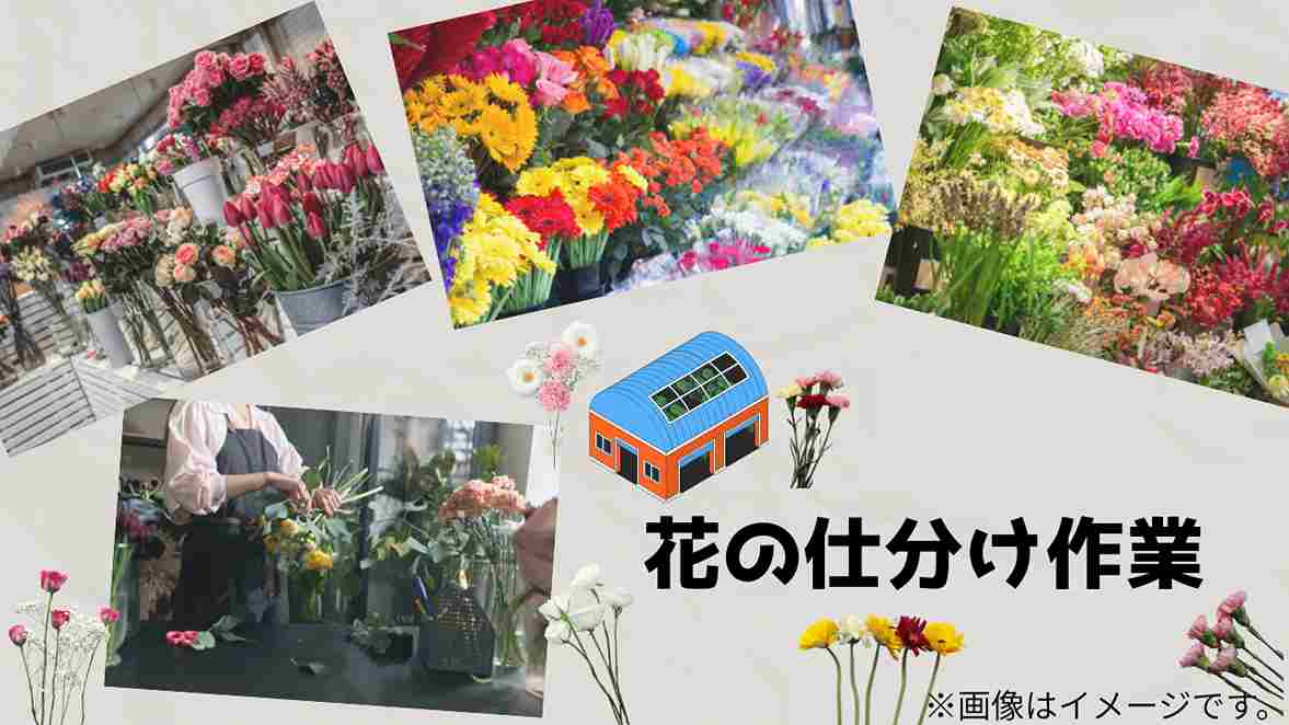 バイト先の写真