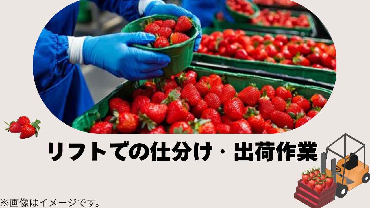 バイト先の写真