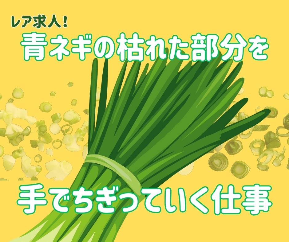 バイト先の写真