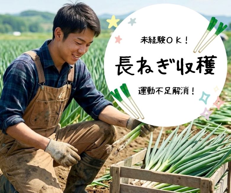 バイト先の写真