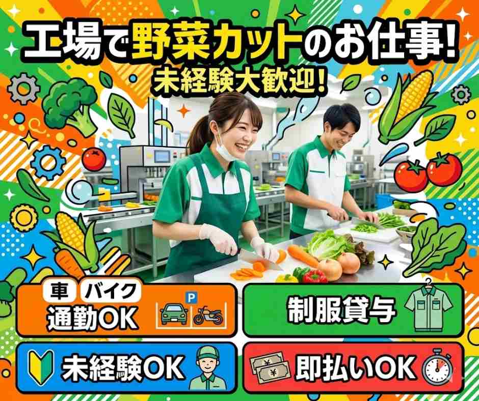 バイト先の写真