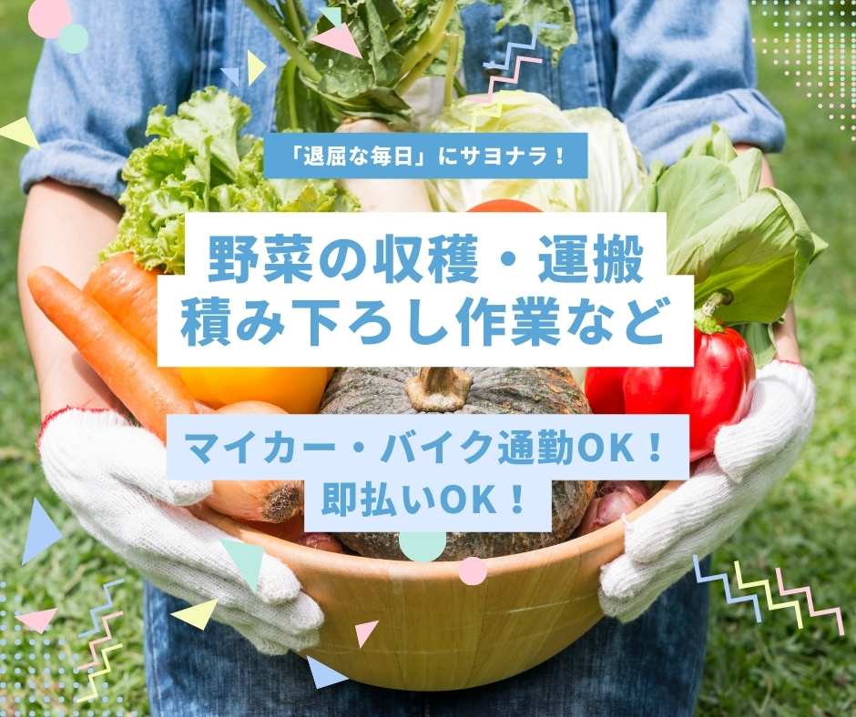 バイト先の写真