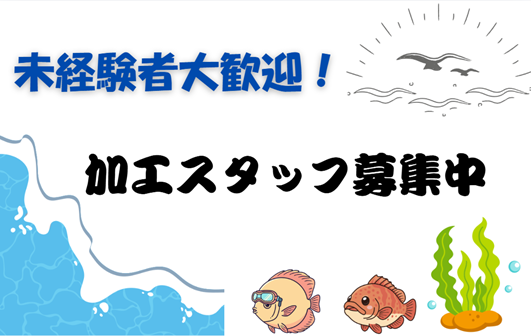 バイト先の写真