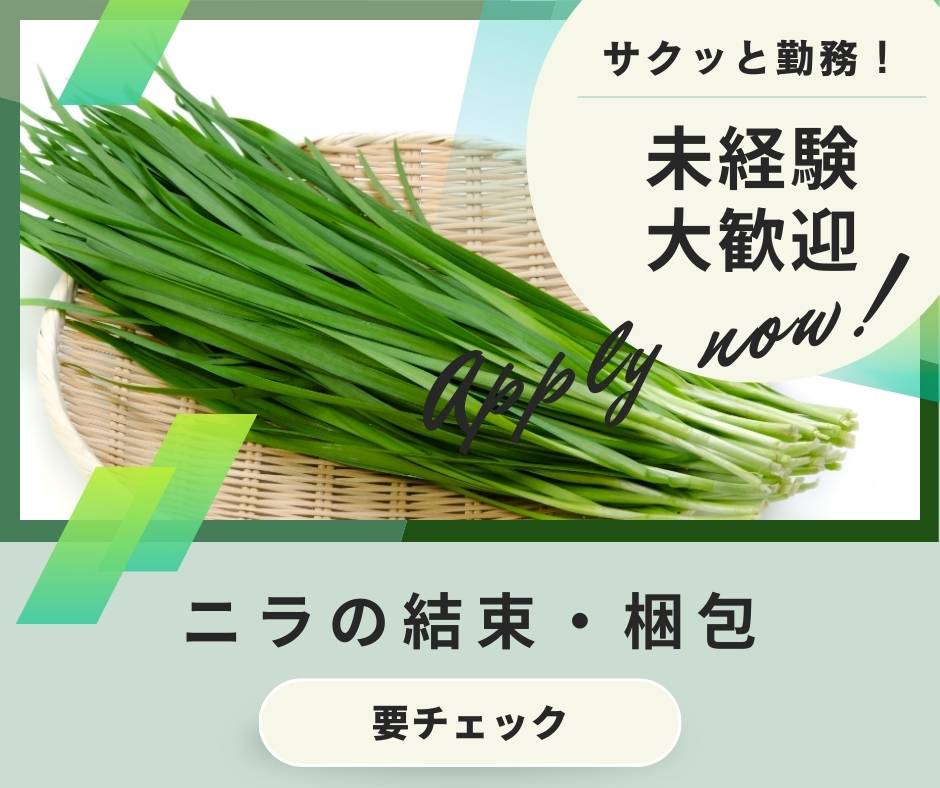 バイト先の写真