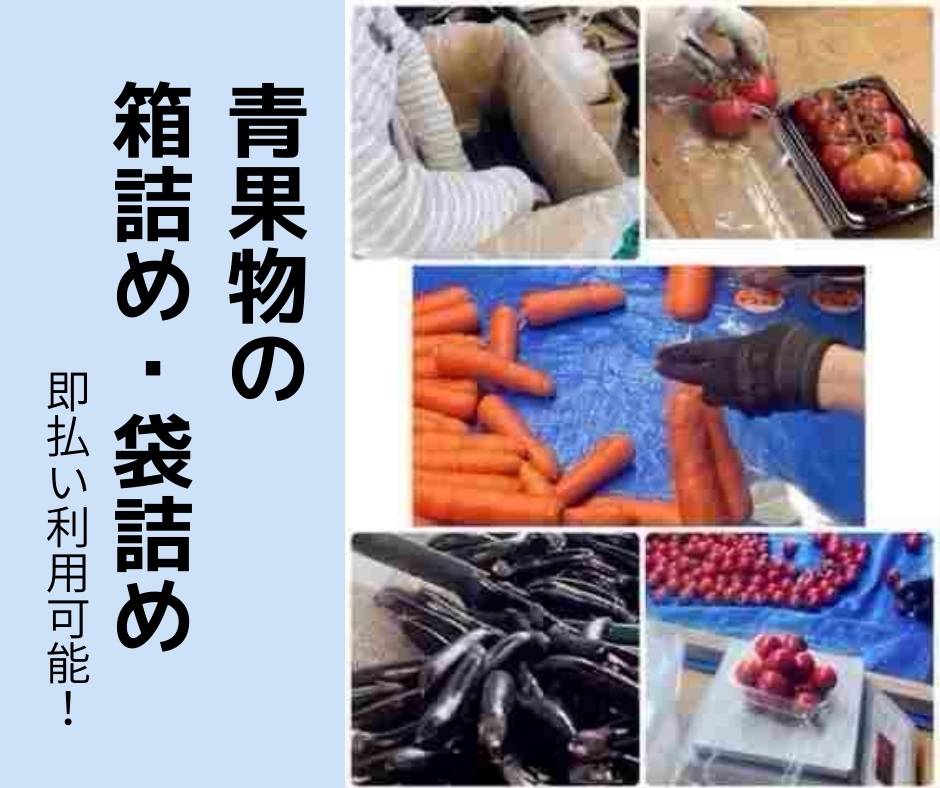 バイト先の写真