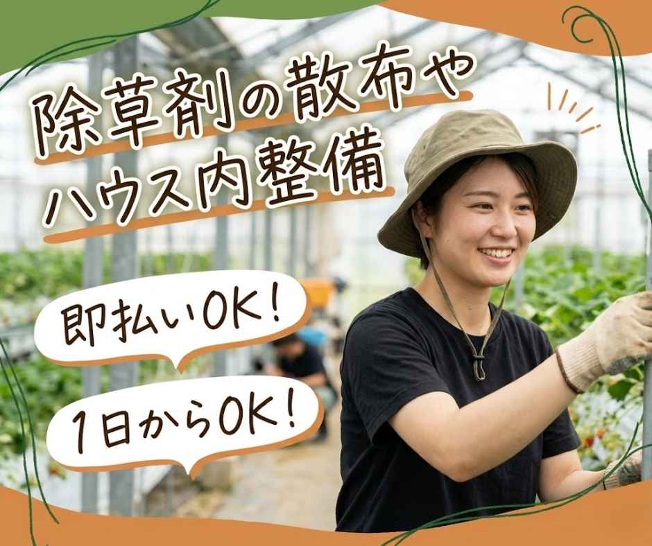 バイト先の写真