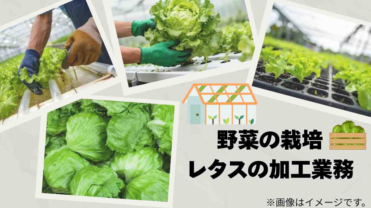 バイト先の写真