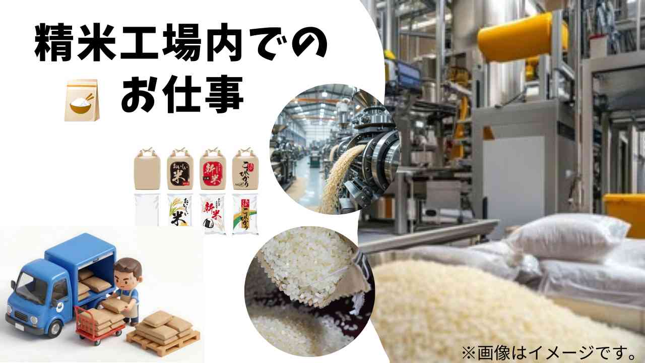 バイト先の写真
