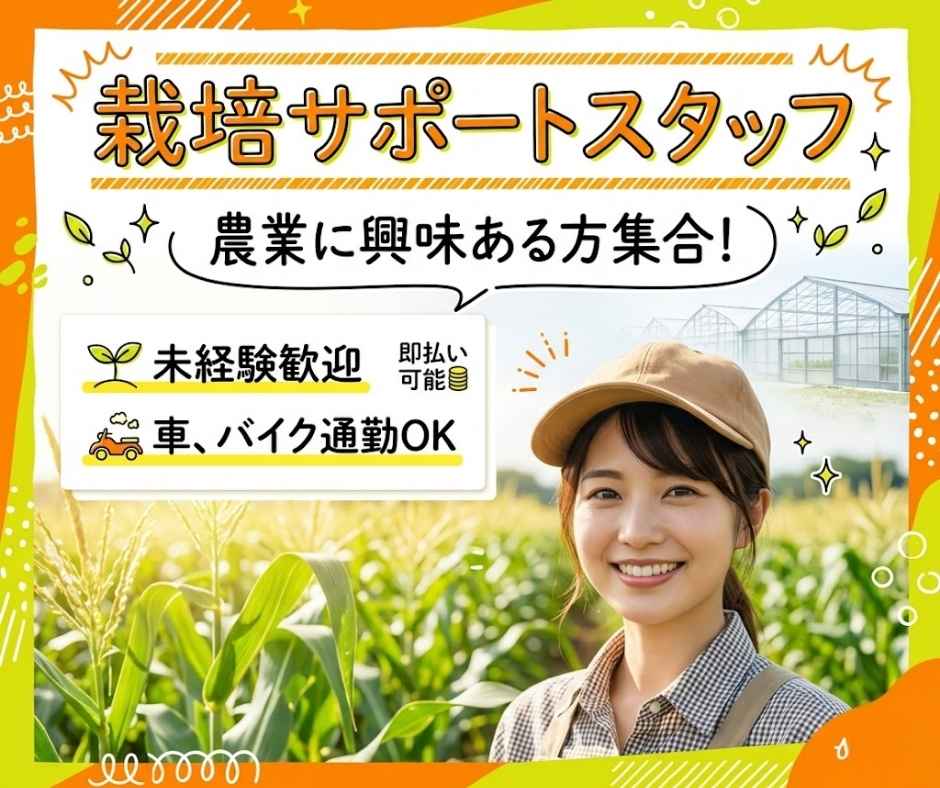 バイト先の写真
