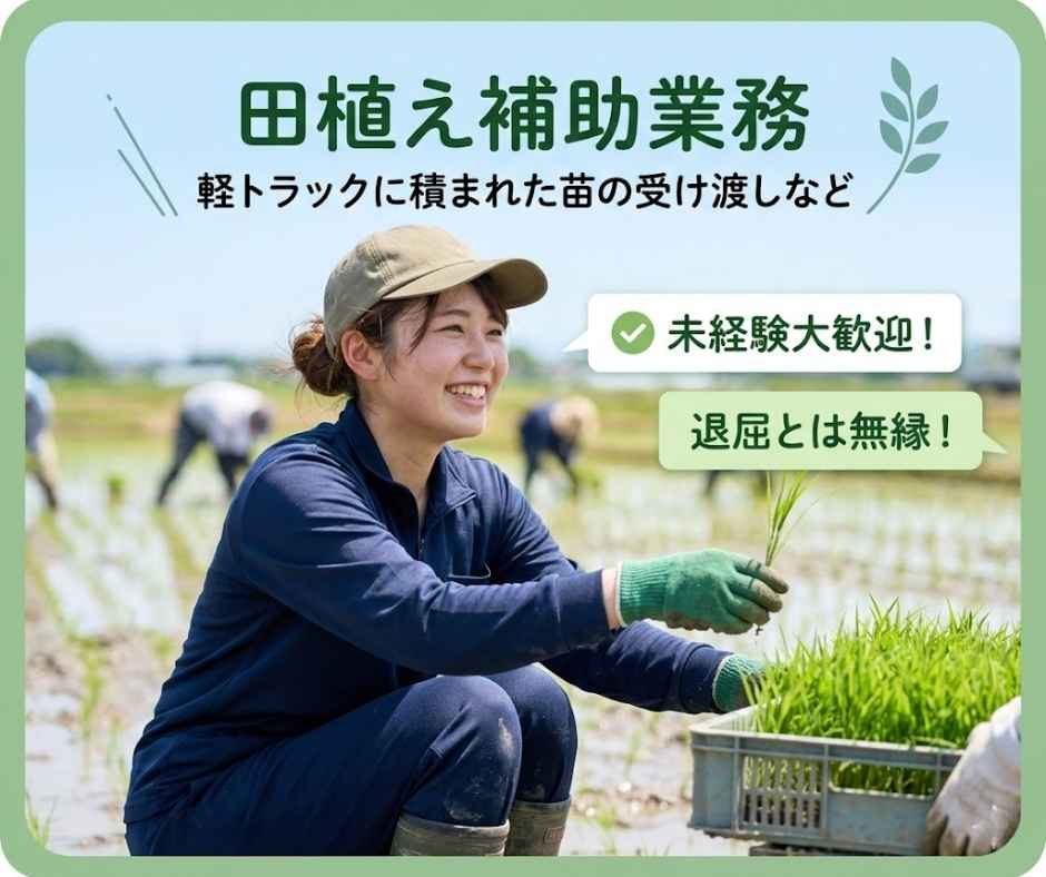 バイト先の写真