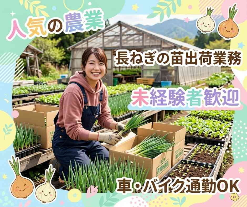 バイト先の写真