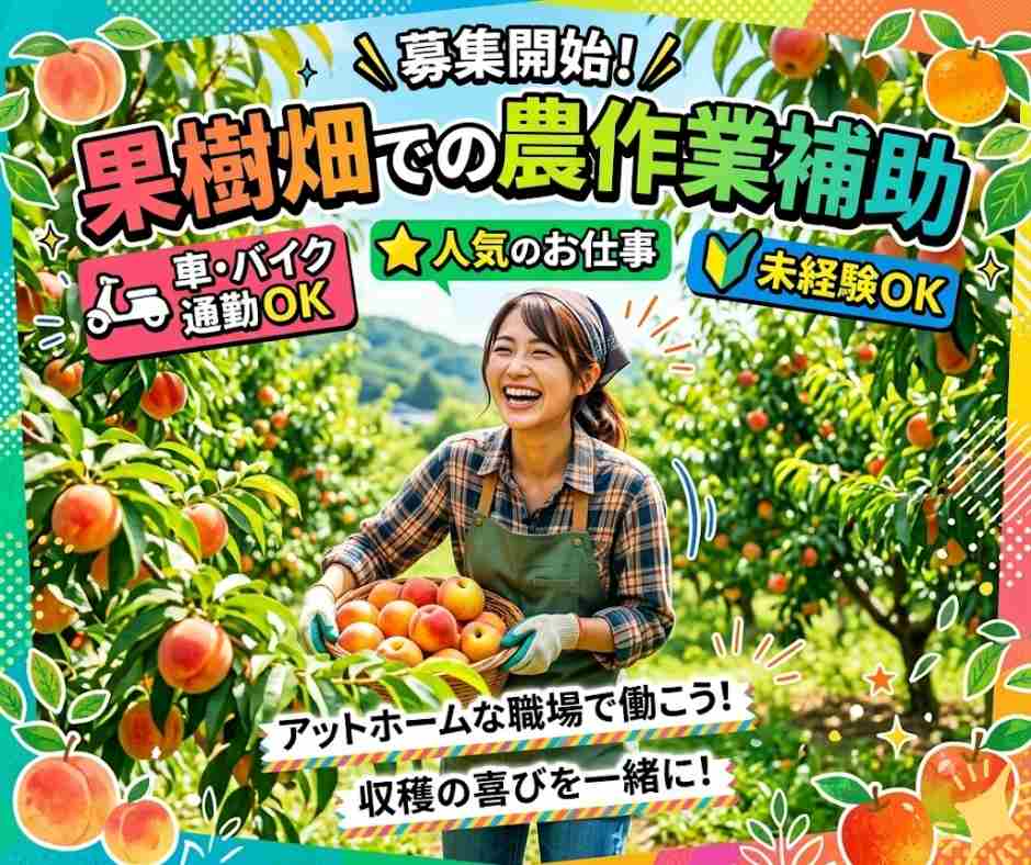 バイト先の写真
