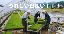 バイト先の写真