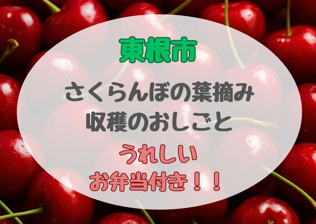 バイト先の写真