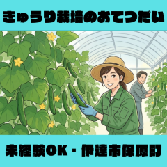 バイト先の写真