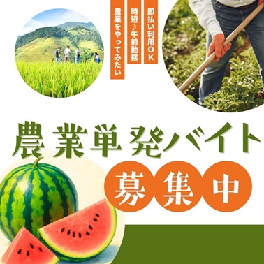 バイト先の写真