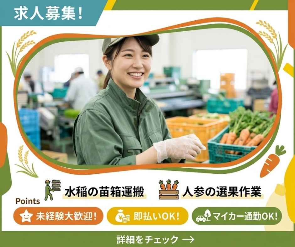 バイト先の写真