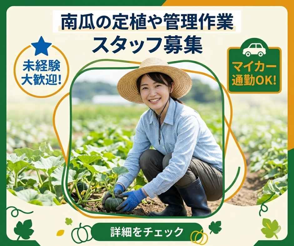 バイト先の写真