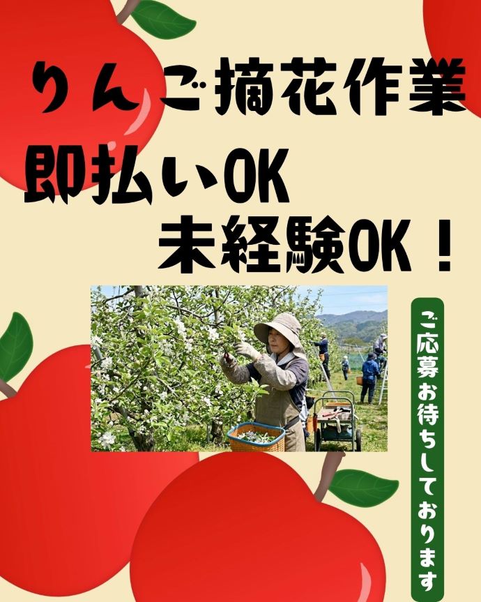 バイト先の写真
