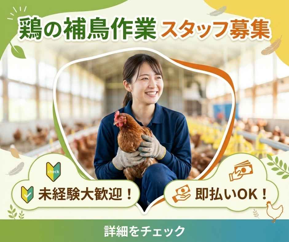 バイト先の写真