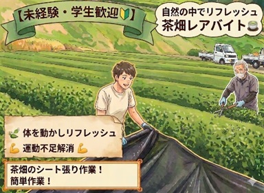 バイト先の写真