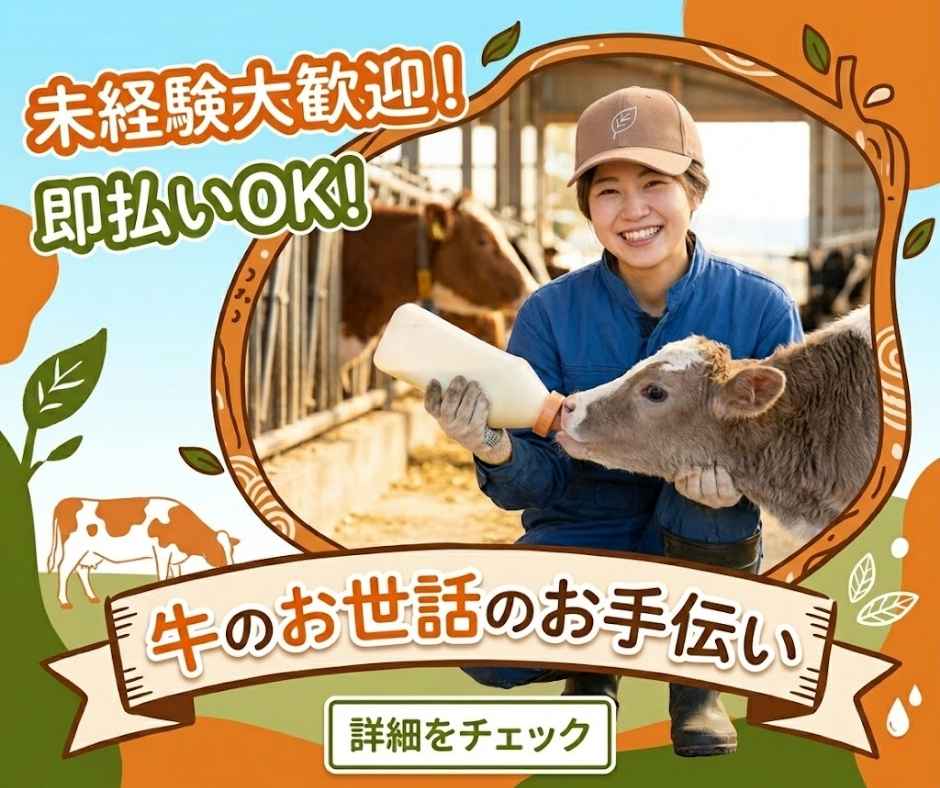 バイト先の写真