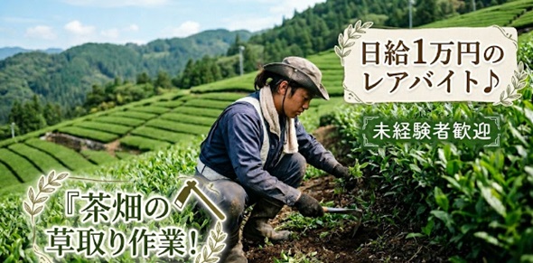バイト先の写真