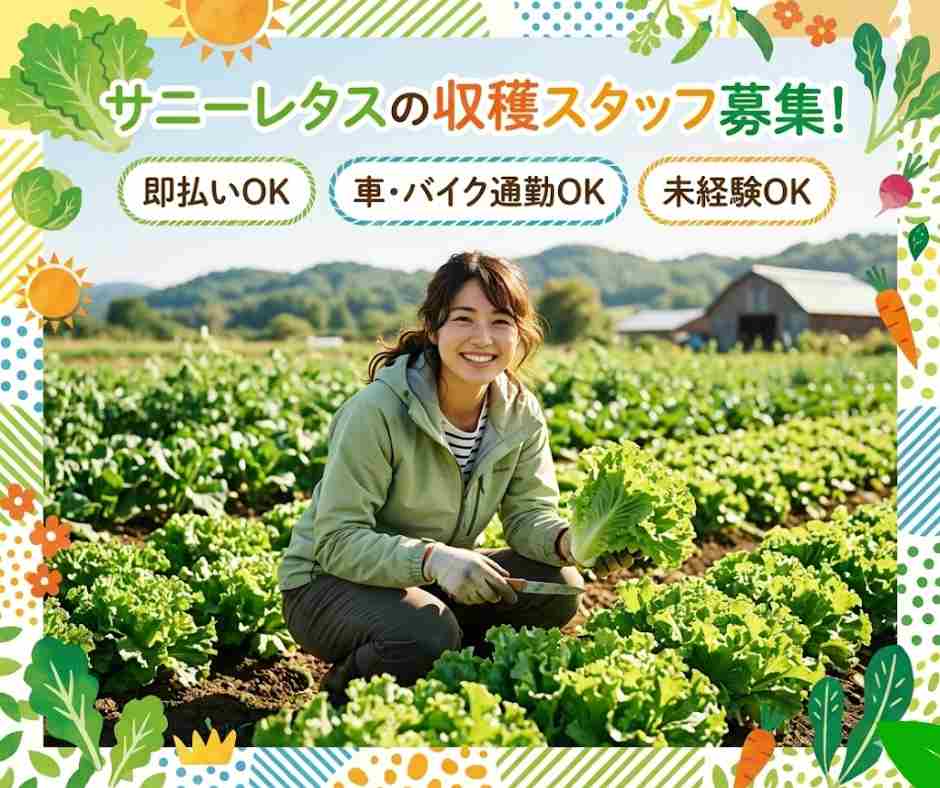 バイト先の写真