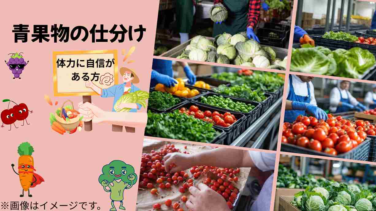 バイト先の写真