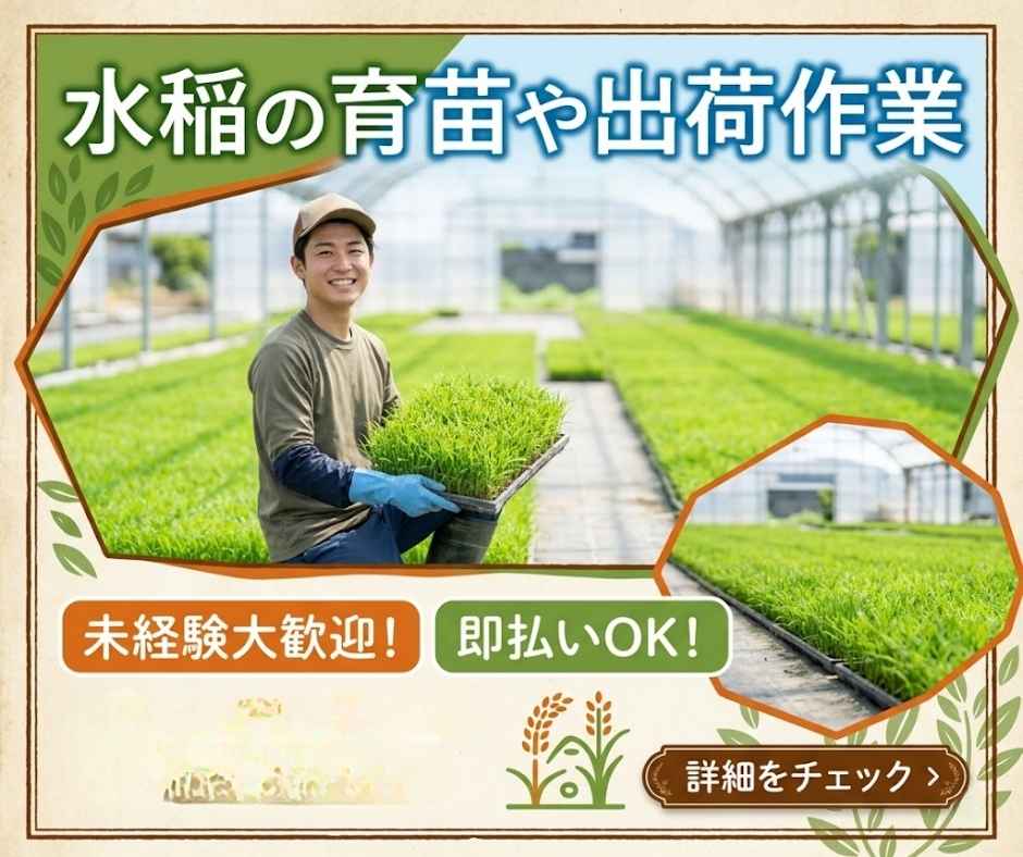 バイト先の写真