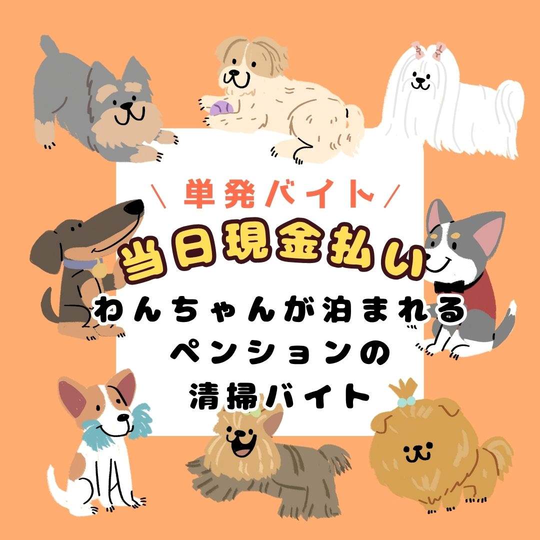 バイト先の写真
