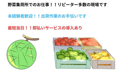 バイト先の写真
