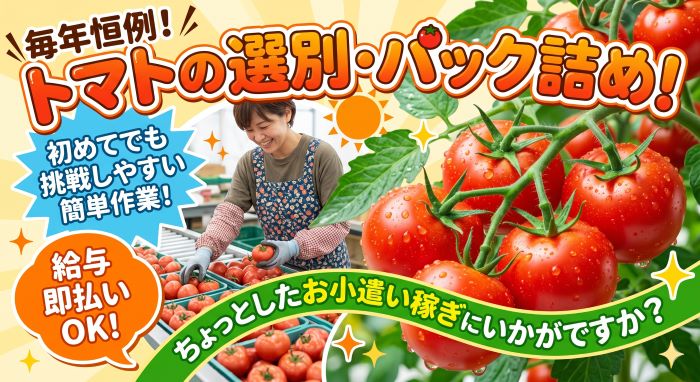 バイト先の写真