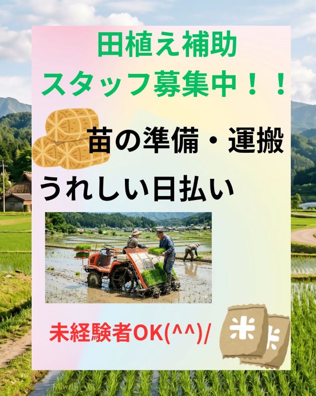 バイト先の写真
