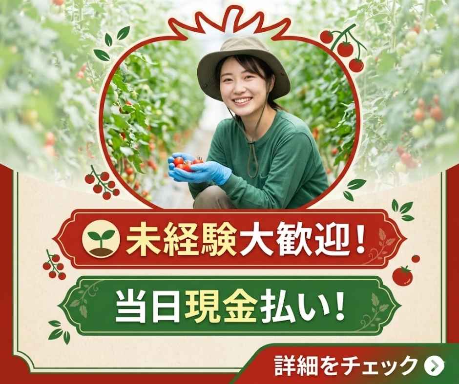 バイト先の写真