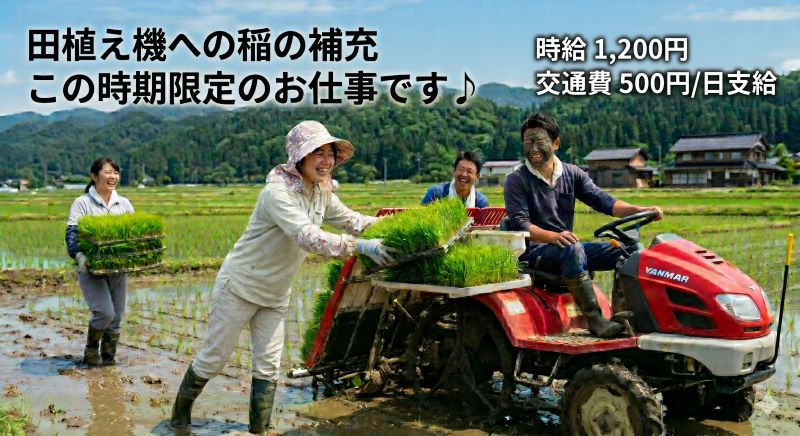 バイト先の写真