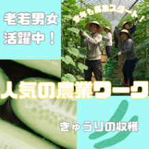 バイト先の写真