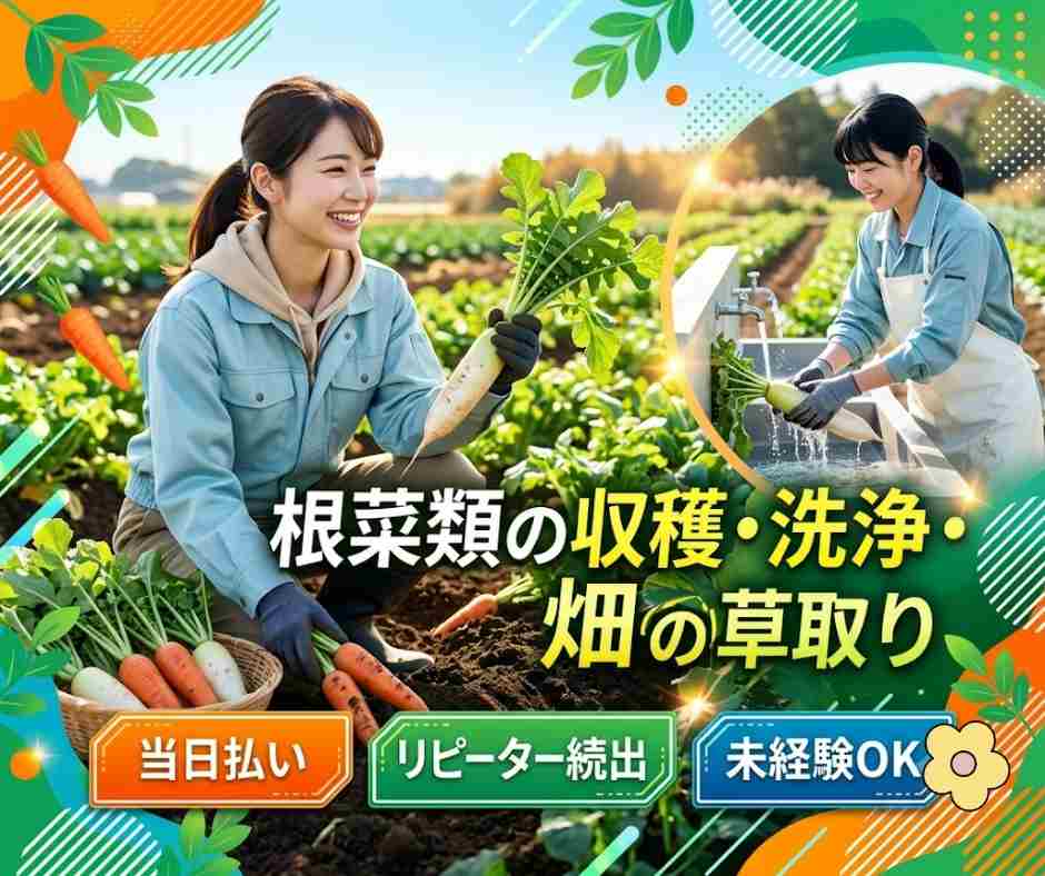 バイト先の写真