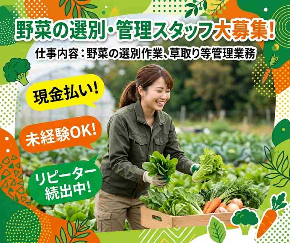 バイト先の写真