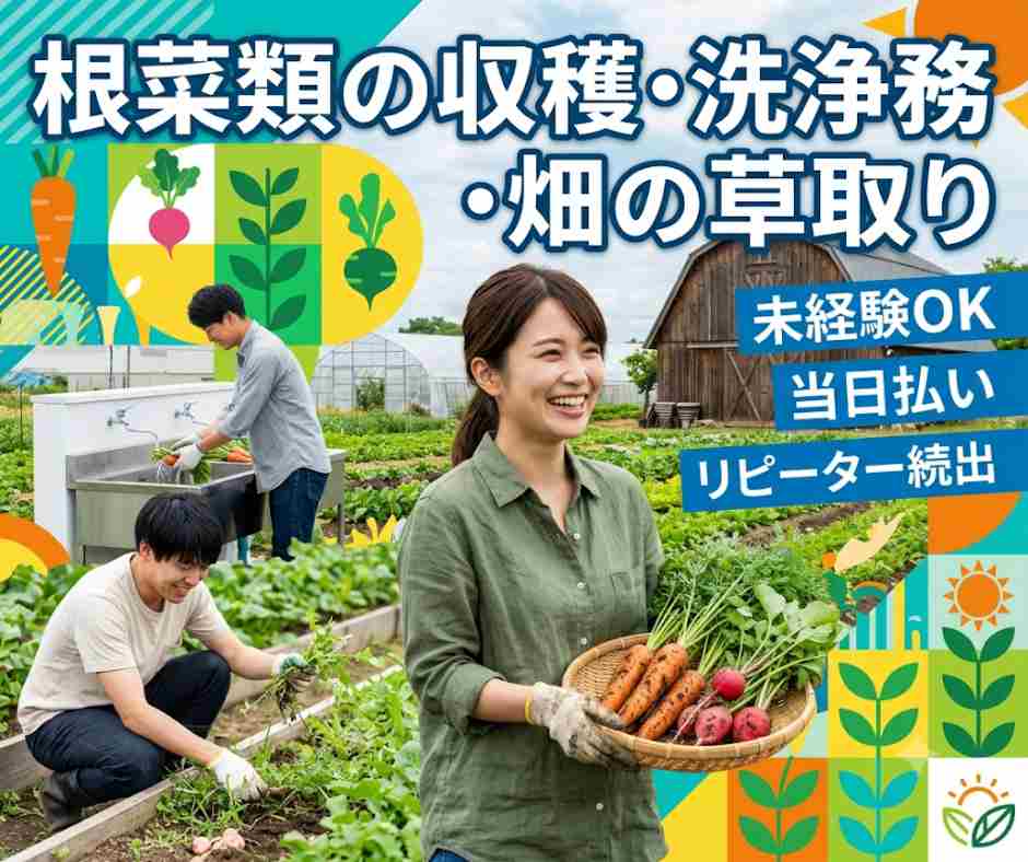 バイト先の写真