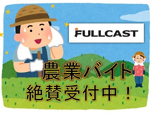 バイト先の写真