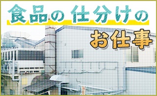バイト先の写真