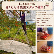 バイト先の写真