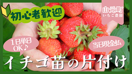 バイト先の写真