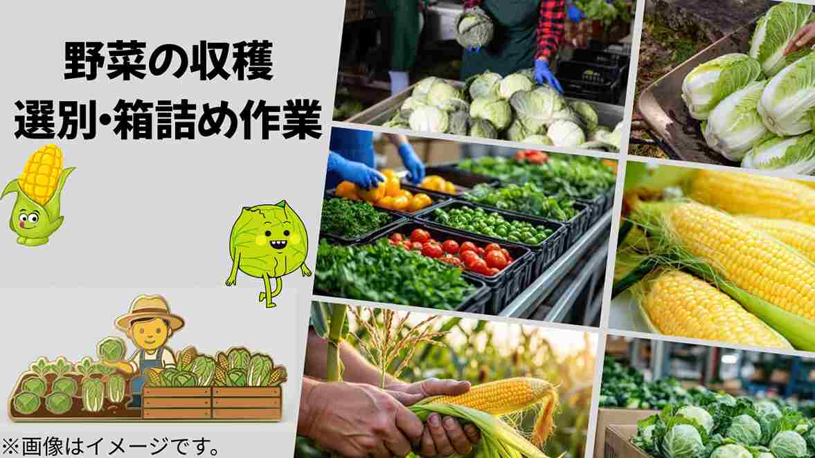 バイト先の写真