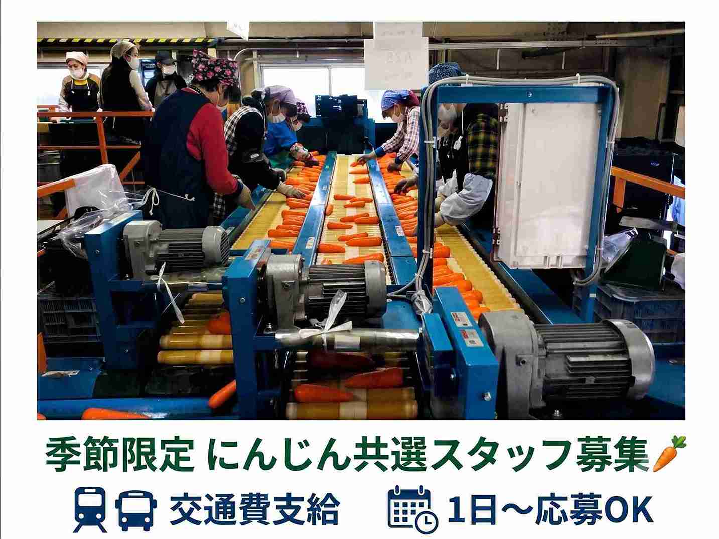 バイト先の写真