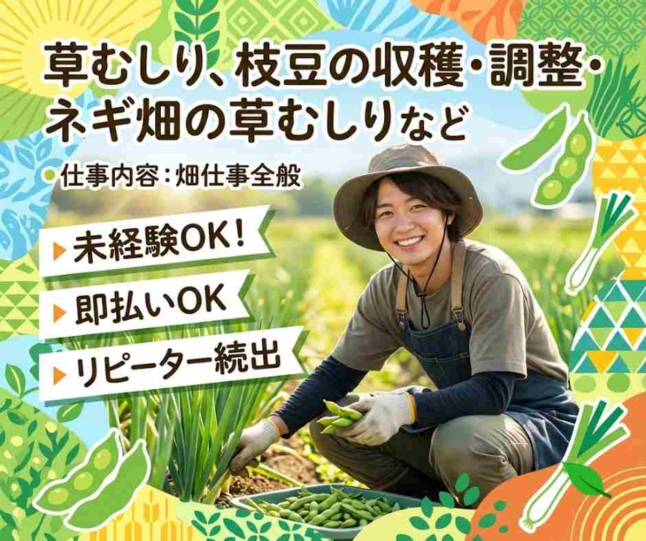 バイト先の写真