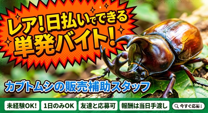 バイト先の写真